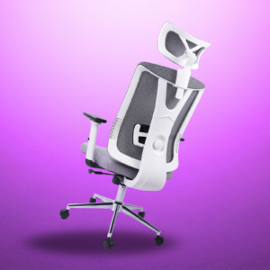 SILLA DE OFICINA TEORAMA PRESIDENTE PREMIUM | GRIS