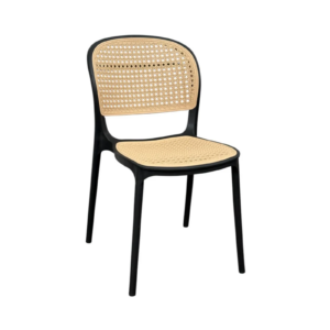 SILLA PLASTICA TARSO